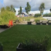 IMG_8507