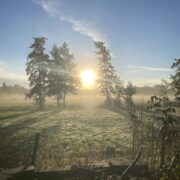 IMG_5616